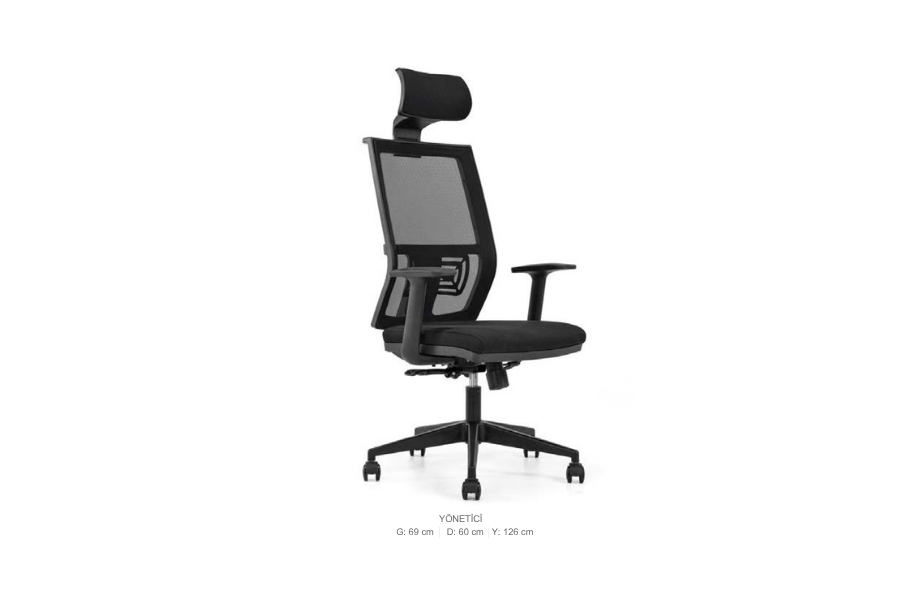 Yönetici ve Çalışma Koltukları